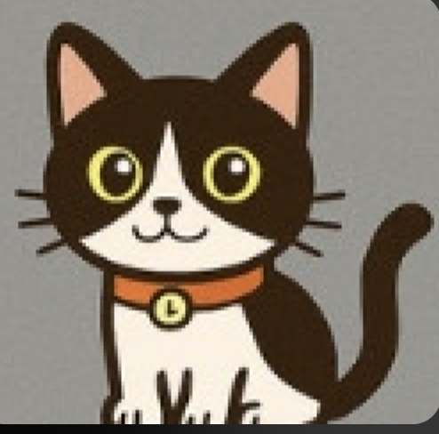 黒白ハチワレ猫